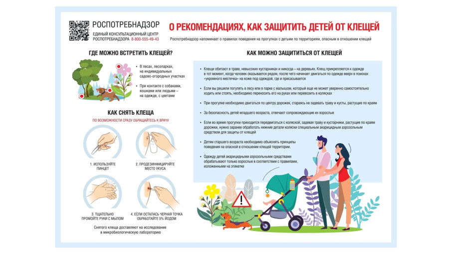 Осторожно, клещи! Осторожно, клещи!.
